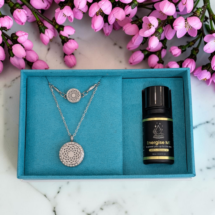 Style & Shine Bundle