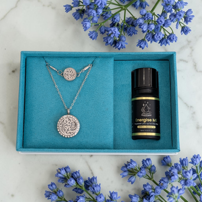 Style & Shine Bundle