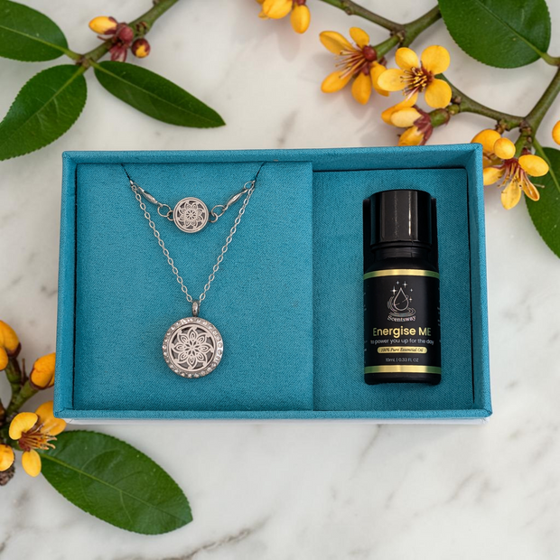 Style & Shine Bundle