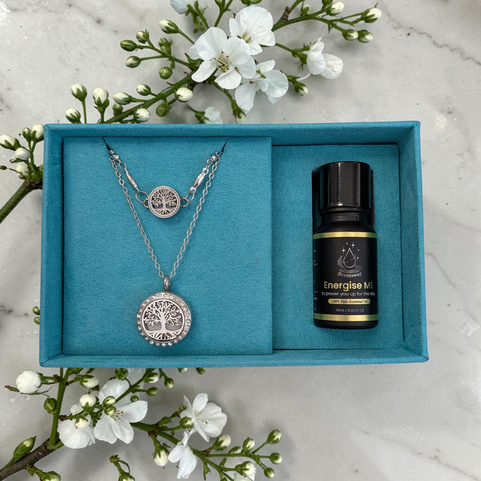 Style & Shine Bundle