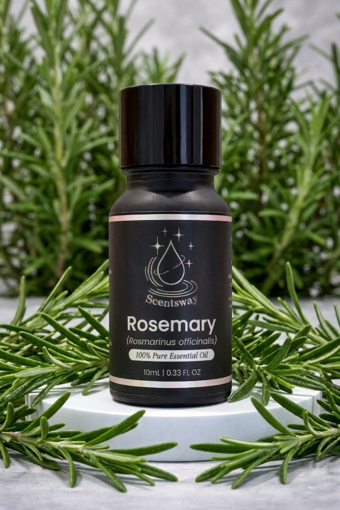 Pure Rosemary Essential Oil 10mL