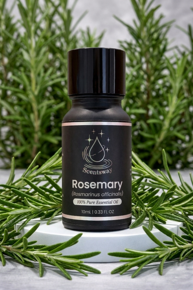 Pure Rosemary Essential Oil 10mL