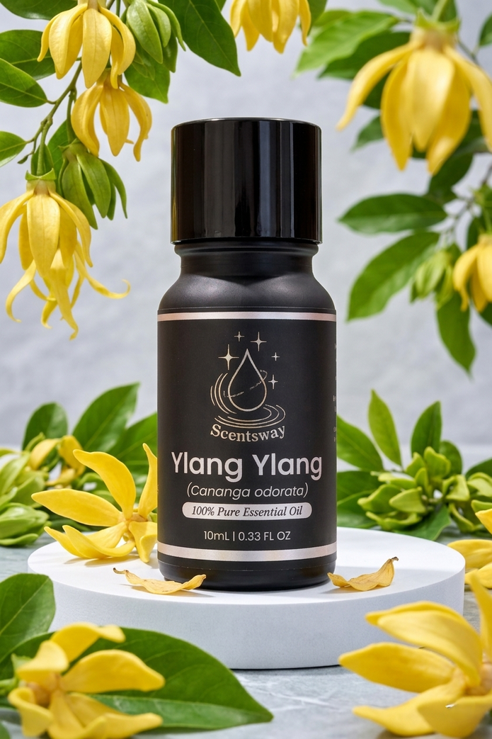 Pure Ylang Ylang Essential Oil 10mL