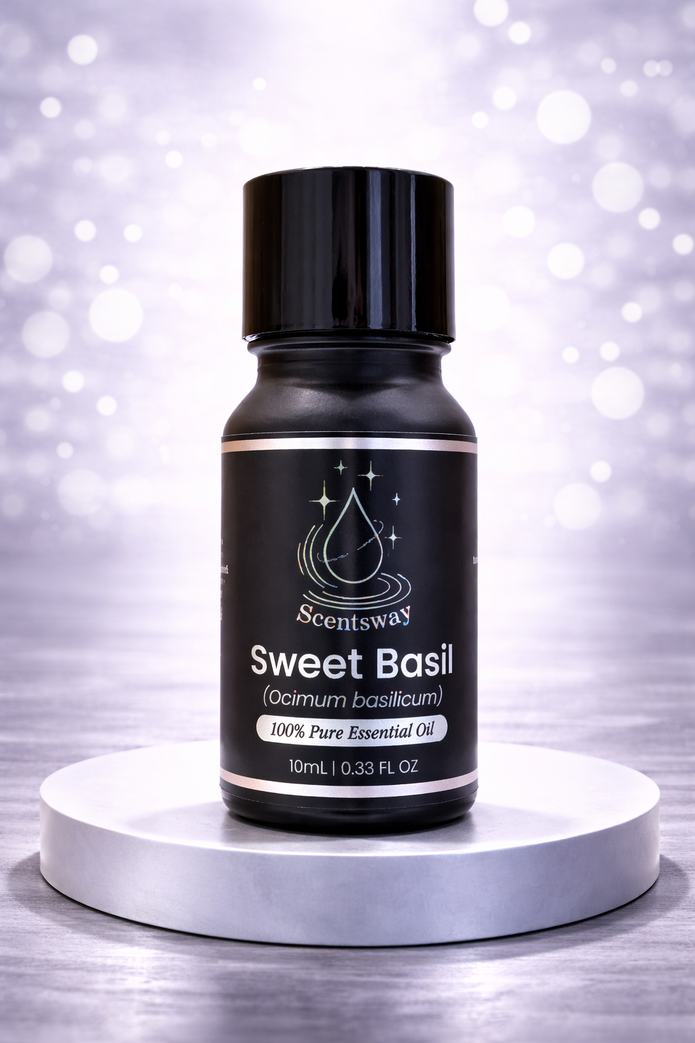 Pure Sweet Basil Essential Oil 10mL